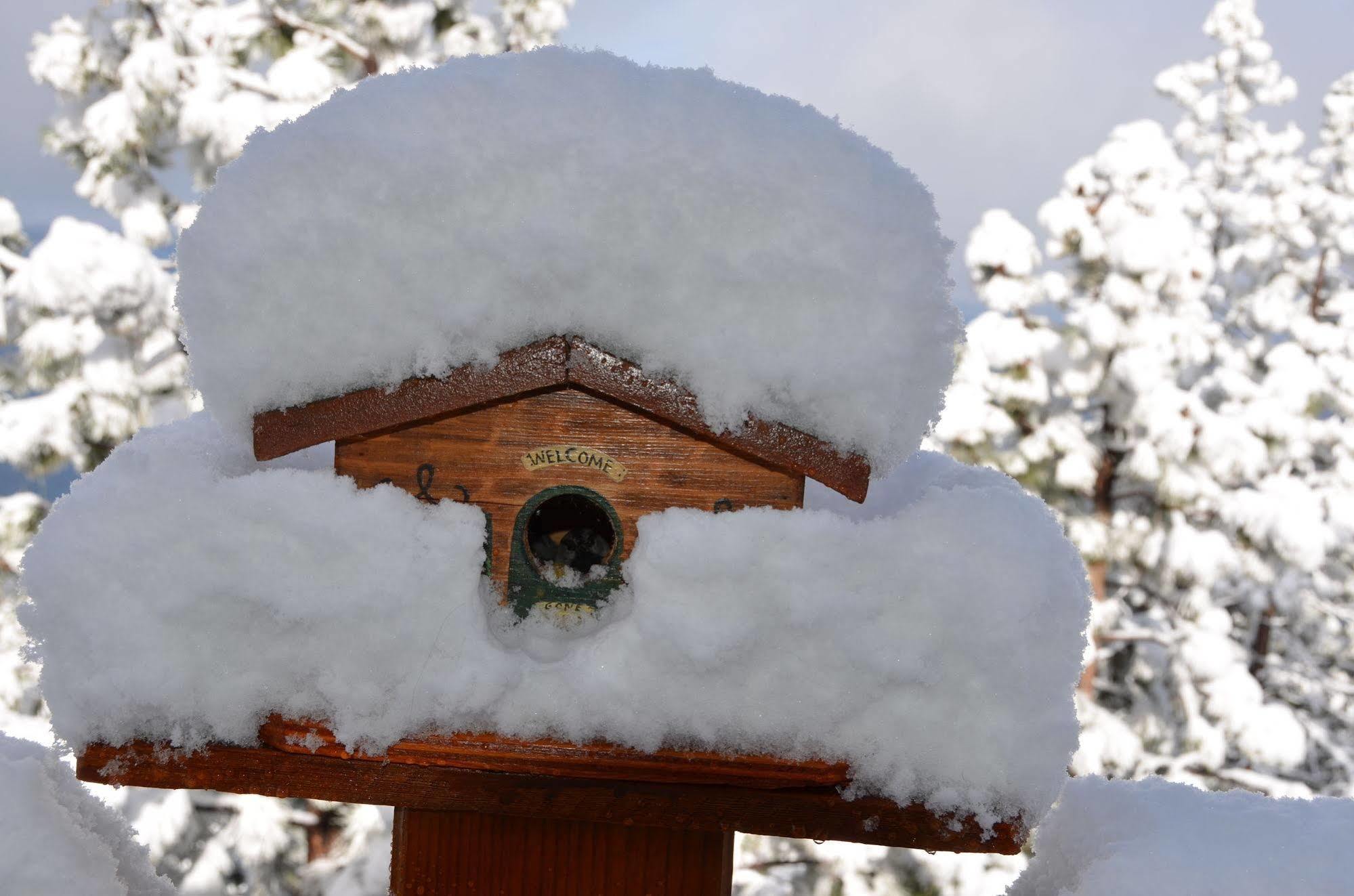 Where Eagles Fly Bed & Breakfast Elk Point Extérieur photo