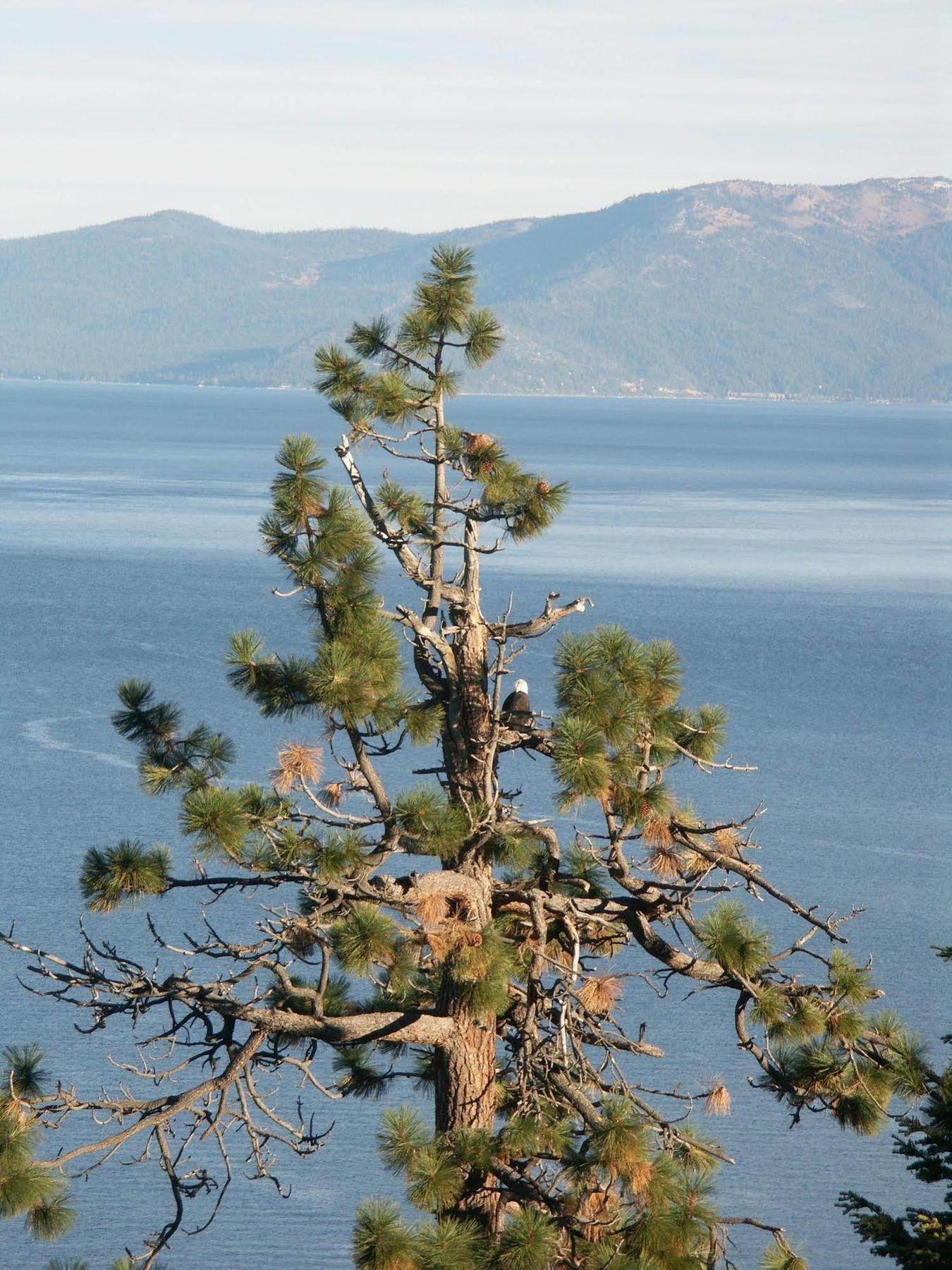 Where Eagles Fly Bed & Breakfast Elk Point Extérieur photo